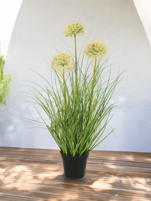 Erba Della Pianta Di Cipolla - Erba Artificiale