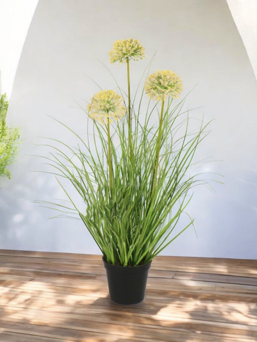 Erba Della Pianta Di Cipolla - Erba Artificiale