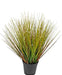 Erba Della Pianta Di Cipolla - Erba Artificiale