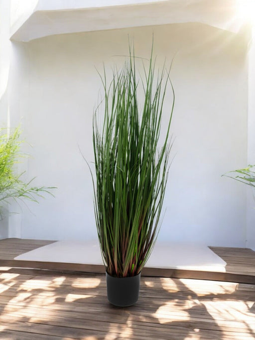 Erba Della Pianta Di Cipolla - Erba Artificiale