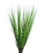 Erba Della Pianta Di Cipolla - Erba Artificiale