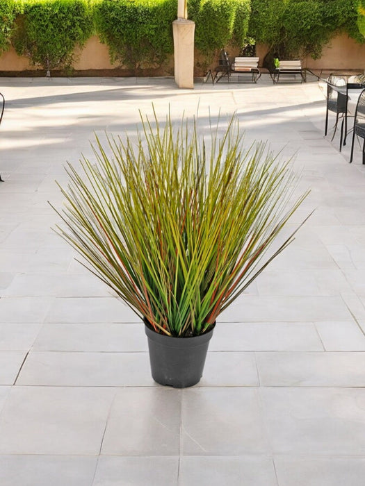 Erba Della Pianta Di Cipolla - Erba Artificiale