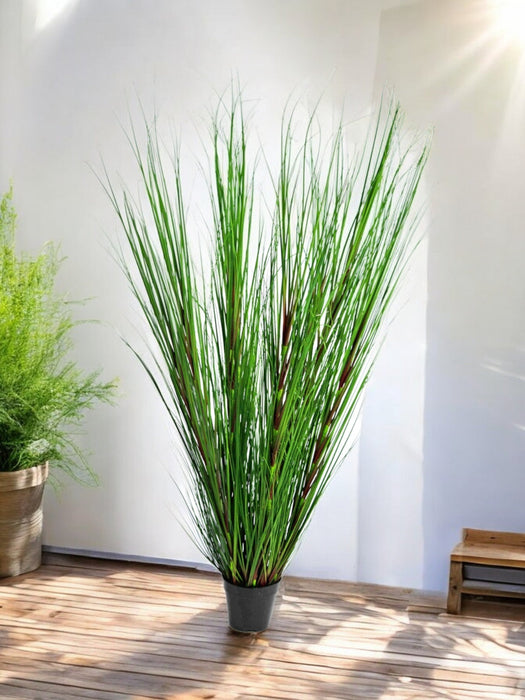 Erba Della Pianta Di Cipolla - Erba Artificiale