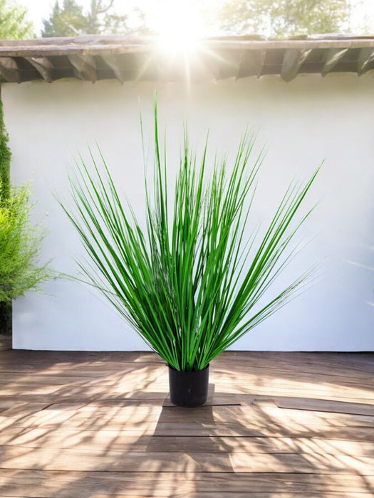 Erba Della Pianta Di Cipolla - Erba Artificiale