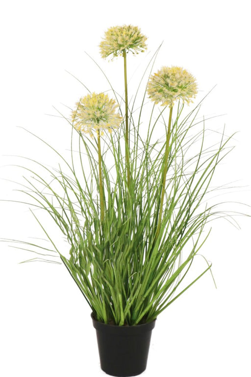 Erba Della Pianta Di Cipolla - Erba Artificiale