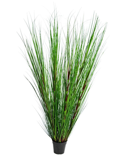 Erba Della Pianta Di Cipolla - Erba Artificiale