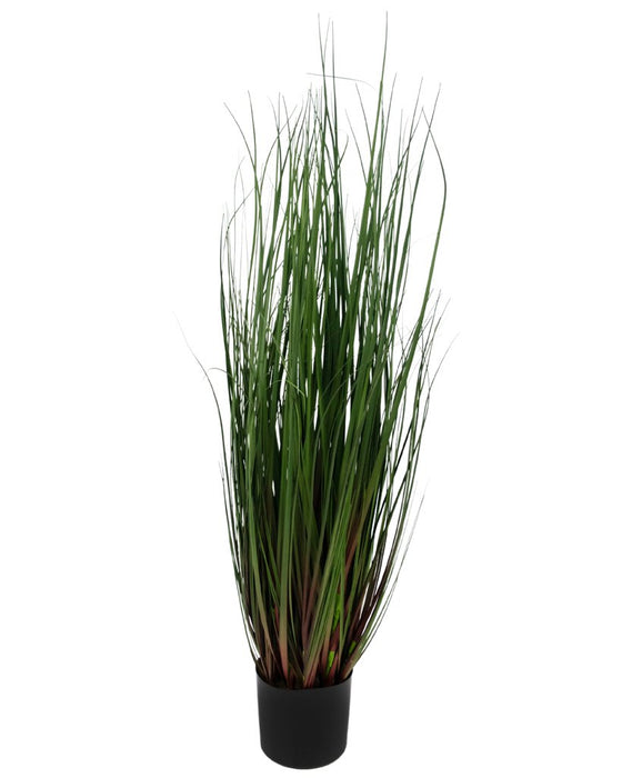 Erba Della Pianta Di Cipolla - Erba Artificiale
