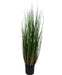 Erba Della Pianta Di Cipolla - Erba Artificiale