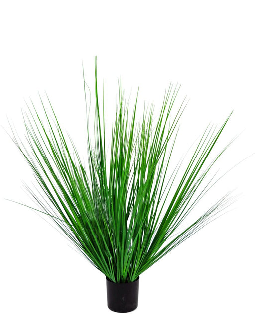 Erba Della Pianta Di Cipolla - Erba Artificiale