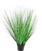 Erba Della Pianta Di Cipolla - Erba Artificiale