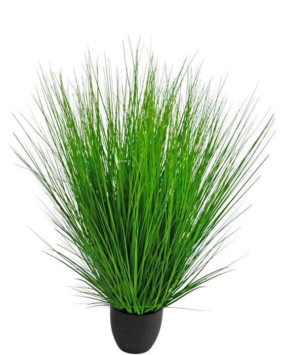 Erba Della Pianta Di Cipolla - Erba Artificiale