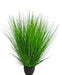 Erba Della Pianta Di Cipolla - Erba Artificiale