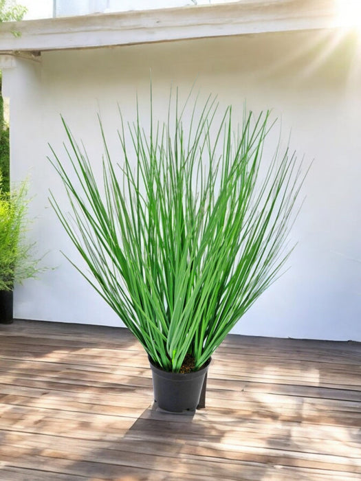 Erba Della Pianta Di Cipolla - Erba Artificiale