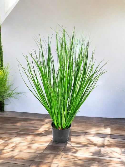 Erba Della Pianta Di Cipolla - Erba Artificiale