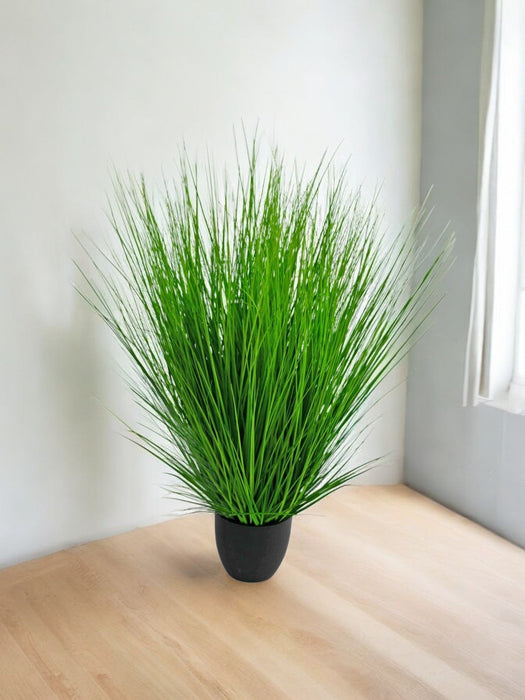 Erba Della Pianta Di Cipolla - Erba Artificiale