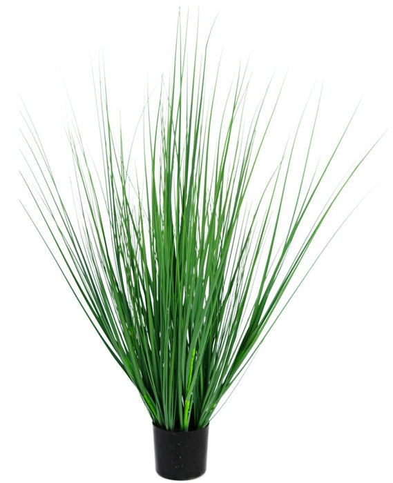 Erba Della Pianta Di Cipolla - Erba Artificiale