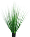 Erba Della Pianta Di Cipolla - Erba Artificiale