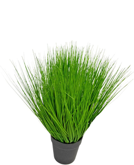 Erba Della Pianta Di Cipolla - Erba Artificiale