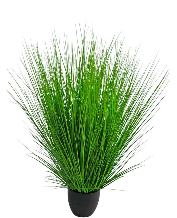 Erba Della Pianta Di Cipolla - Erba Artificiale