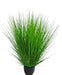 Erba Della Pianta Di Cipolla - Erba Artificiale