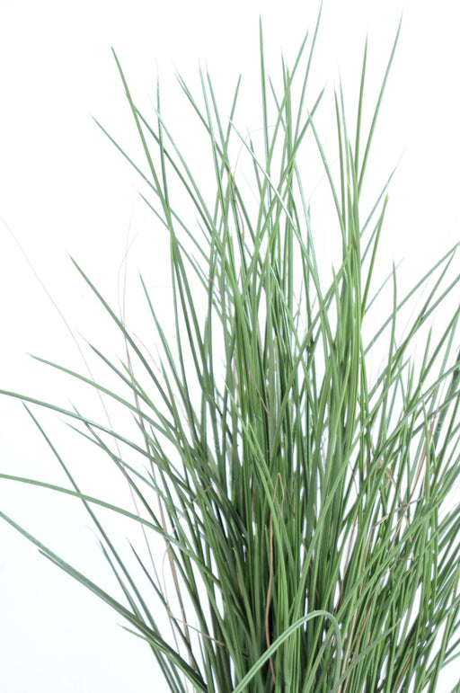 Erba Sintetica Honey Grass 80 Cm Resistente Ai Raggi UV