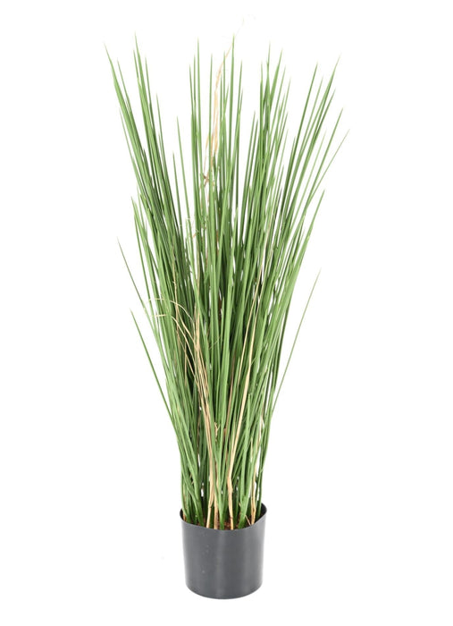 Erba Sintetica Honey Grass 80 Cm Resistente Ai Raggi UV