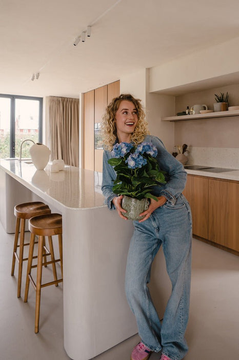 Ortensia Artificiale Blu