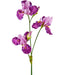 Iris Artificiale Viola