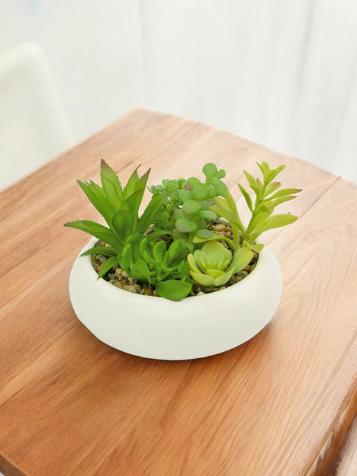 Giardino Di Piante Succulente - Composizione Artificiale