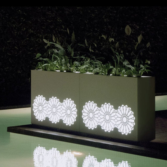 Piantatrice Dell'arabia