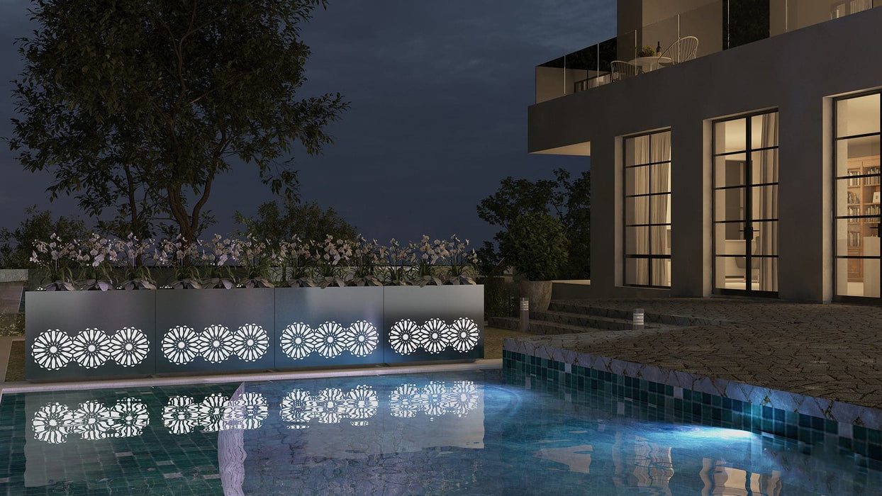 Piantatrice Dell'arabia