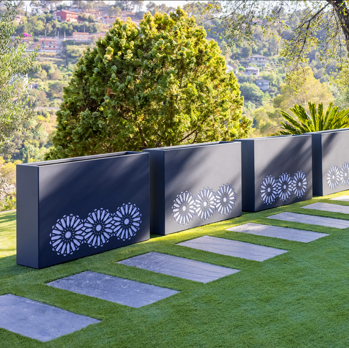 Piantatrice Dell'arabia