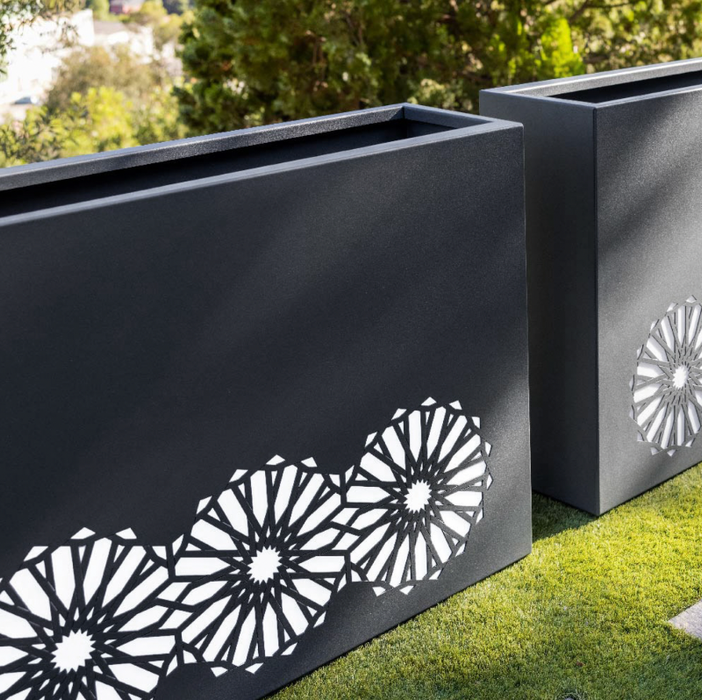 Piantatrice Dell'arabia