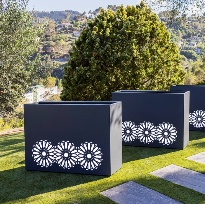 Piantatrice Dell'arabia