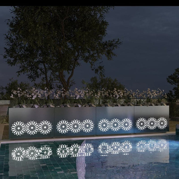 Piantatrice Dell'arabia