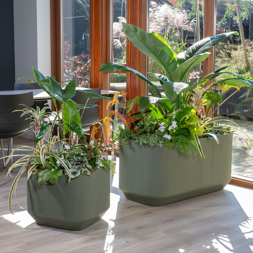 Fioriera Automatica Mod