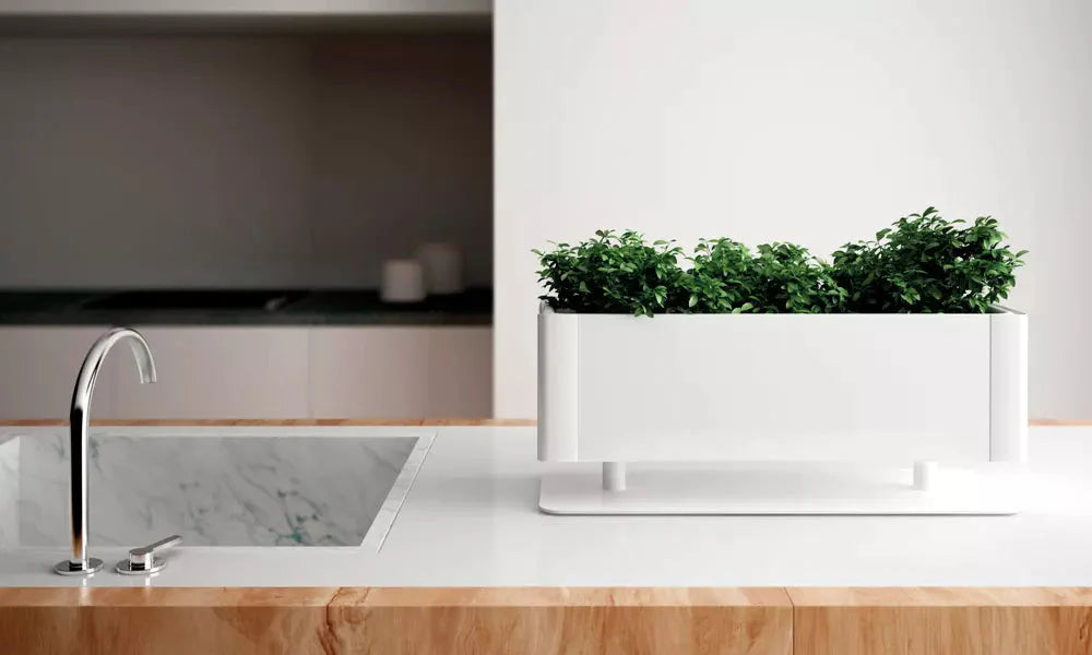 Fioriera Sospesa Greenlight