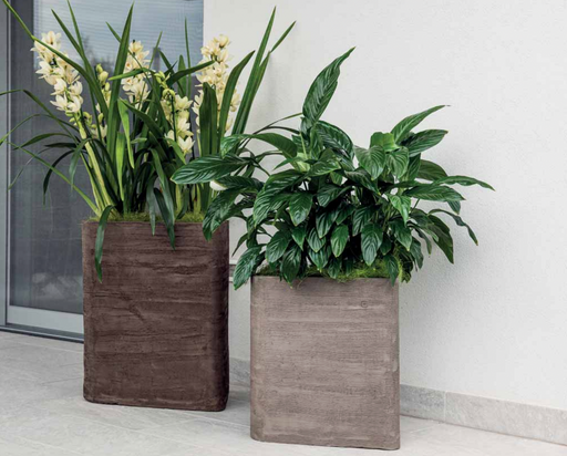 Fioriera In Terracotta Haute Mont Blanc