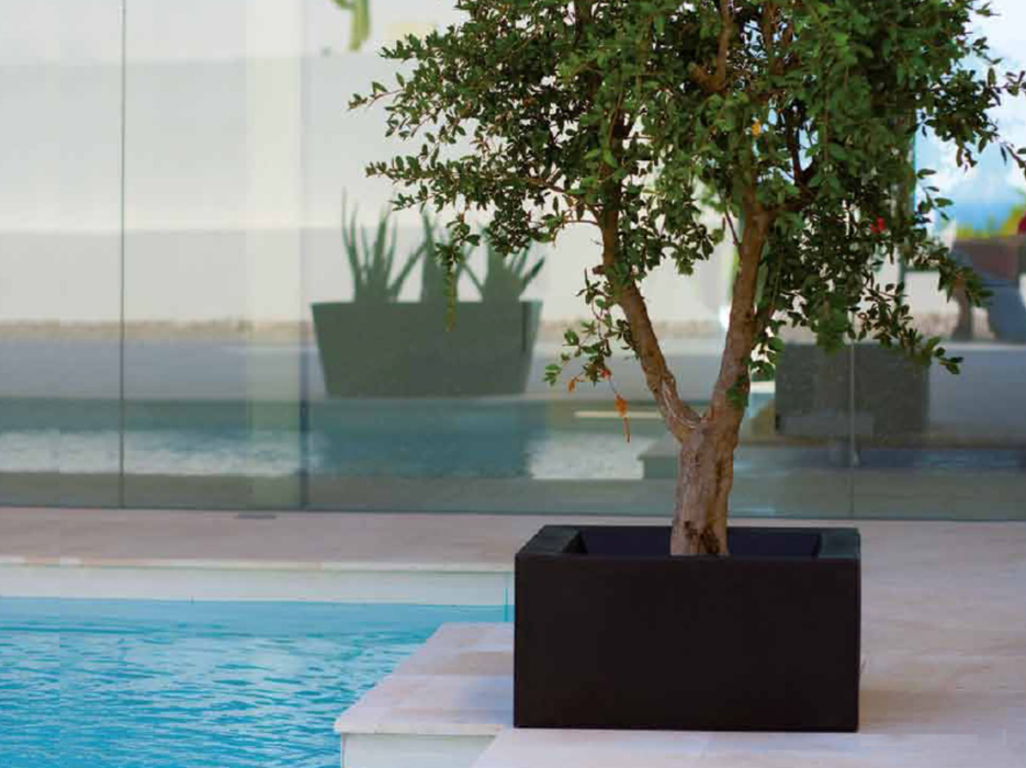 Piantatrice Di Terra