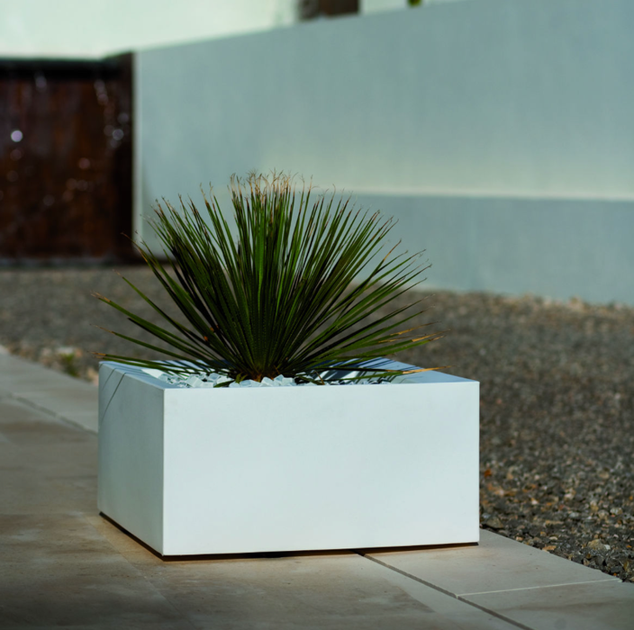 Piantatrice Di Terra