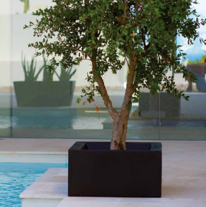 Piantatrice Di Terra