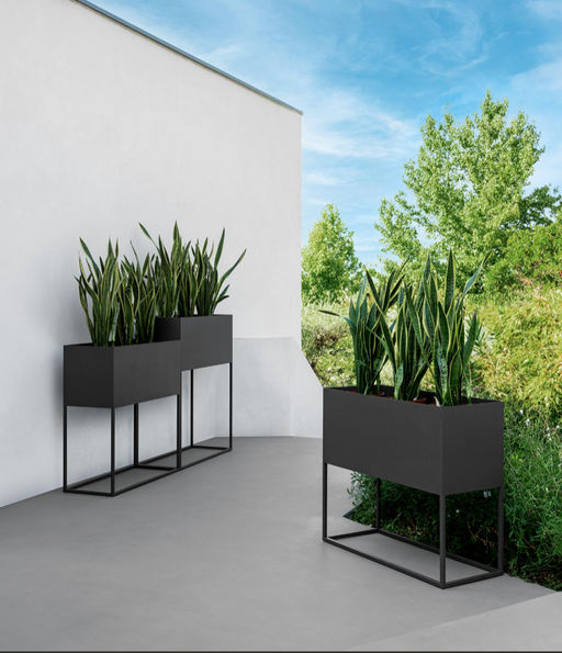 Fioriera Alta Da Percorso