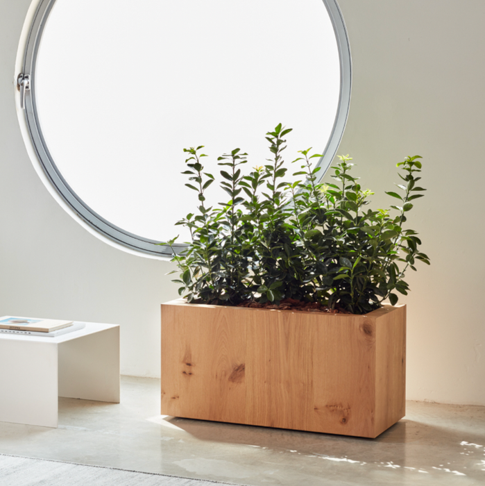 Fioriera Rettangolare Tammi