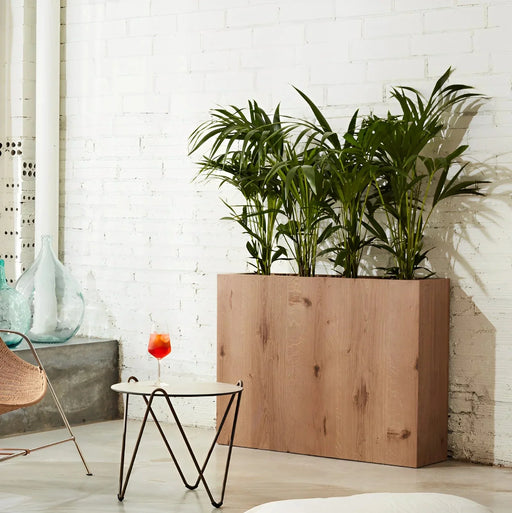 Fioriera Rettangolare Tammi