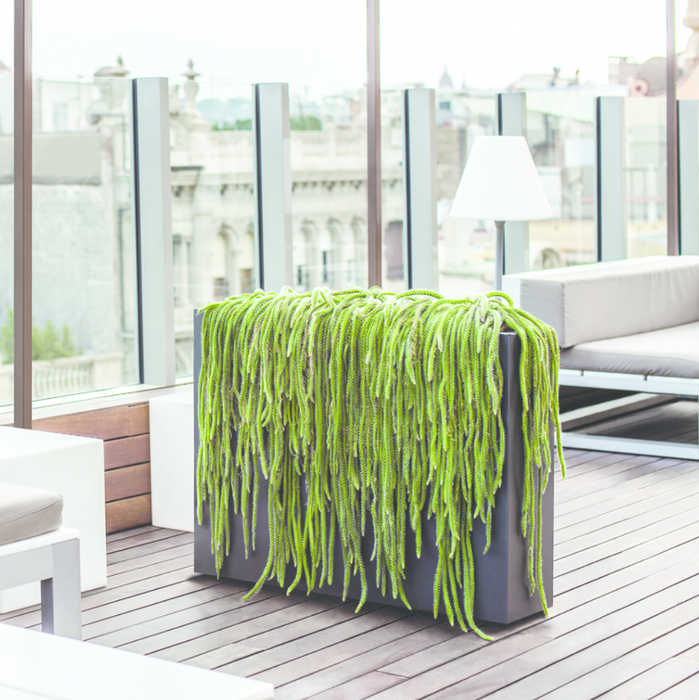 Fioriera Alta Urbana