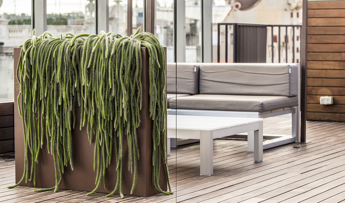 Fioriera Alta Urbana