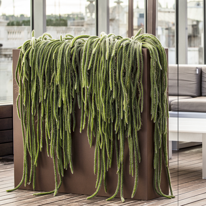 Fioriera Alta Urbana