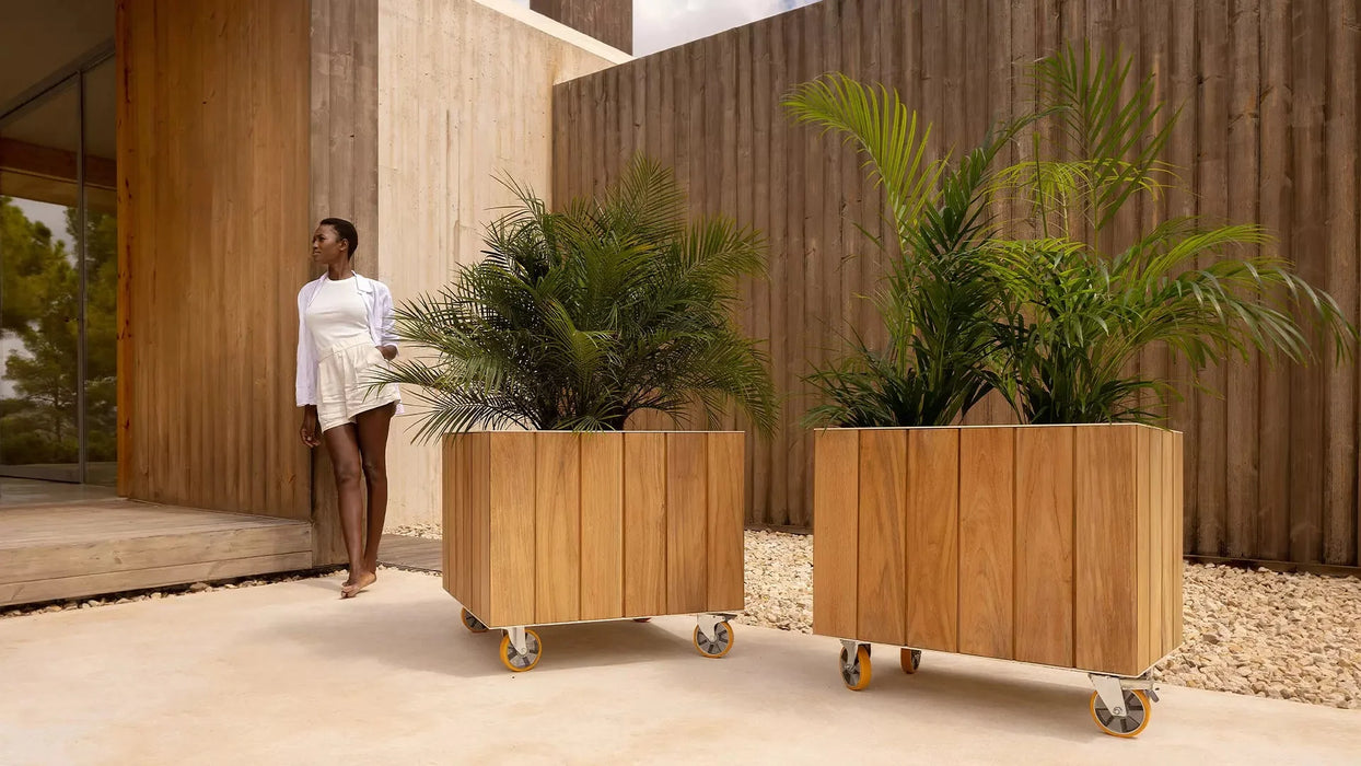 Piantatrice Di Vigneto