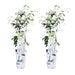 Star Jasmine - Set Di 2 Gelsomini