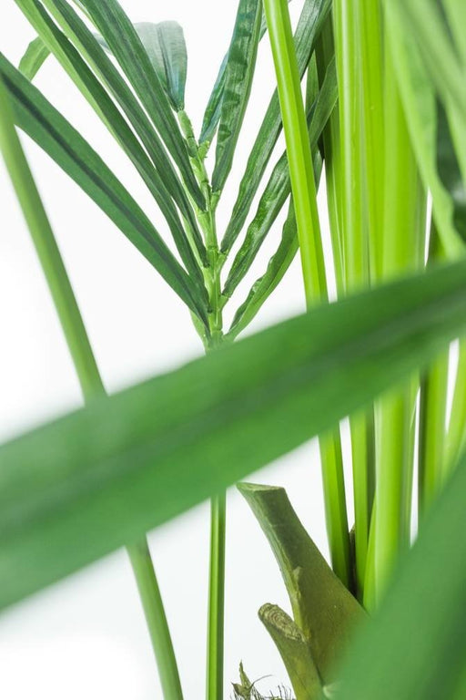 Kentia - Palma Artificiale